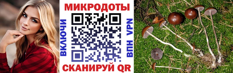 Псилоцибиновые грибы Cubensis  Киренск 