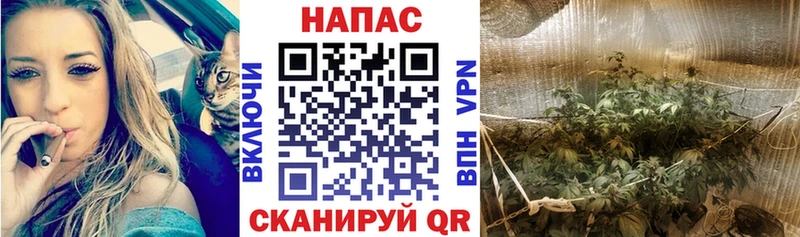 Каннабис White Widow  Киренск 